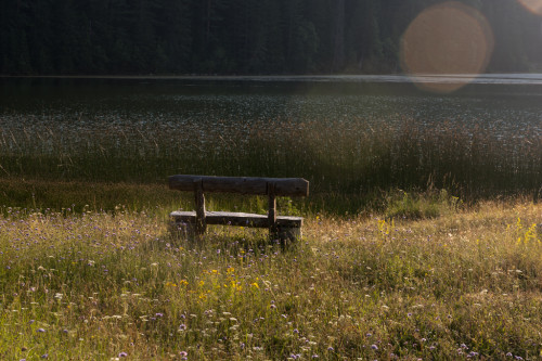 ,,Odmor za..." Dejana Kalezića