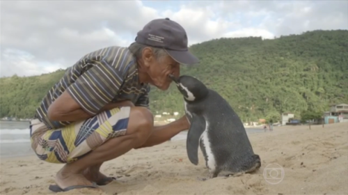 ad199230264a-penguin-called