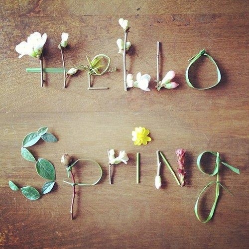 helllo_spring-6648