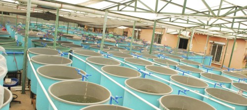 Agriculture aquaculture water system farm