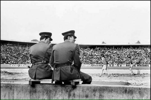 13062540_1354278901254074_995931487552234165_n