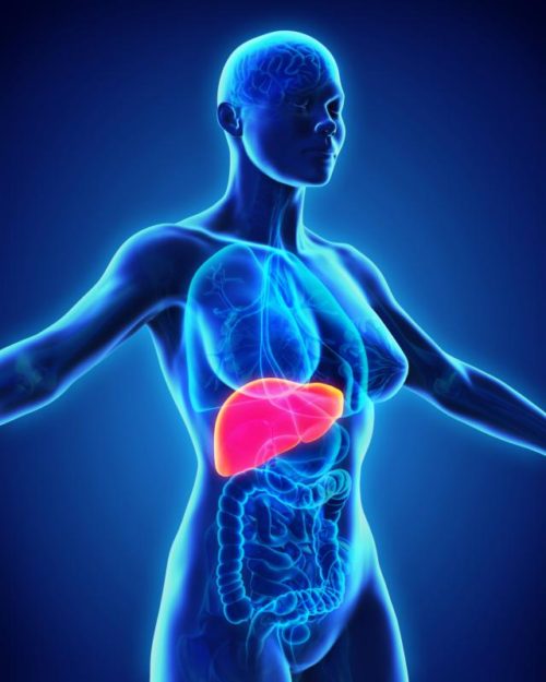 14011539215710fc8b24646341264354_w640