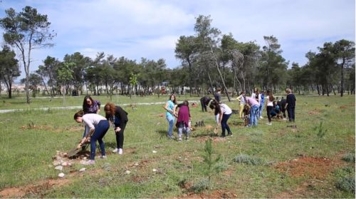 24a13ac7-6186-45c5-83ce-080e09201dfd