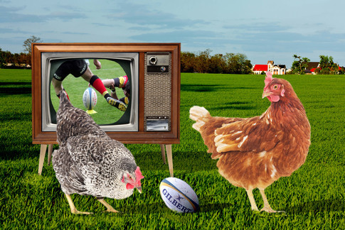 Foto: Vlada Njemačke