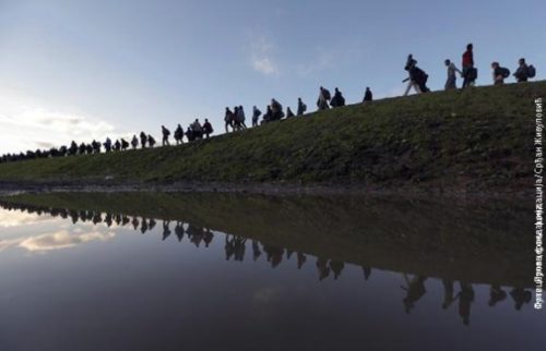 Nagrađena fotografija - Slobodan Živulović