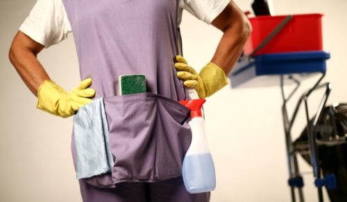 cistacica-spremacica-1d6c15325cf2259dda8199c36068a98c_view_article