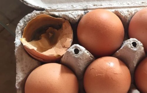 image-b0cd2ee9c53052ada56f0ac378161eb4af4f1d80fba6ffeb6b6870cd57f7ecd9-V-1024x768