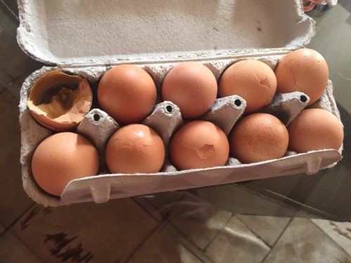 image-b0cd2ee9c53052ada56f0ac378161eb4af4f1d80fba6ffeb6b6870cd57f7ecd9-V