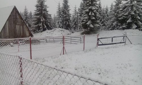 13256362_1192511464122269_5169413301741531451_n