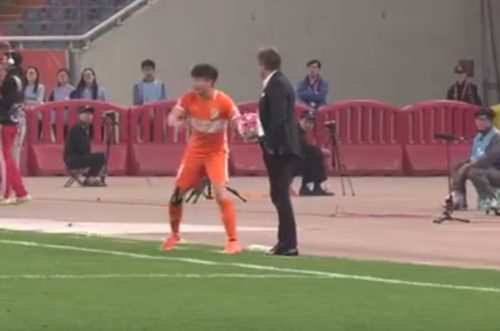 61224094-dragan-stojkovic-piksi