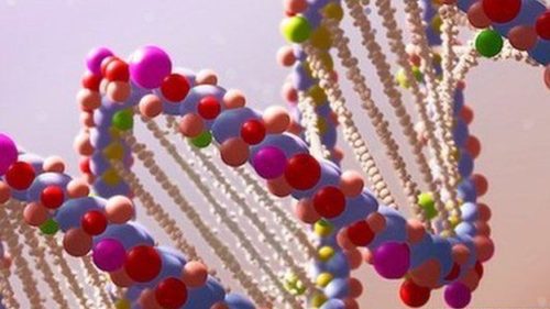 Foto: Science Photo Library 