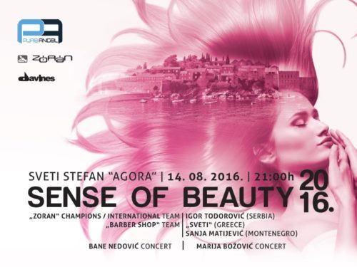 Sense-plakat-500x375