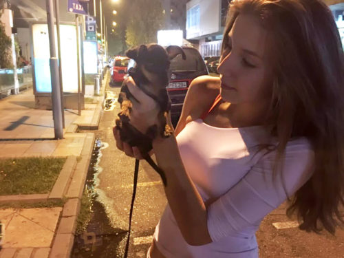 image-0-02-01-6612c8bd876766c59192a1c7ef959b82672270a770df4df957bc10e8944447d5-V-1024x768