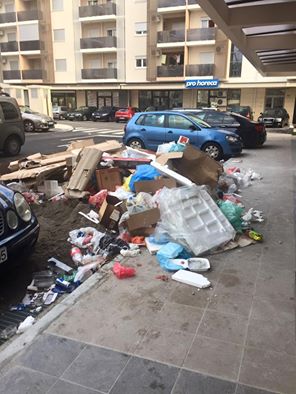 14639588_1186009534798005_3792482800460046583_n