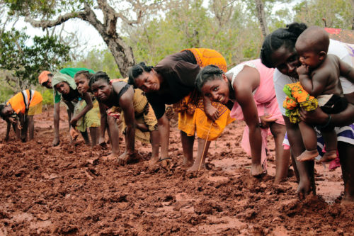 Foto: WWF-Madagascar