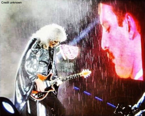 bri_freddie_cologne_690x554
