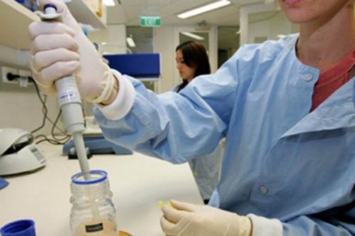 beograd-vantelesna-oplodnja-treci-pokusaj-1328585176-120905