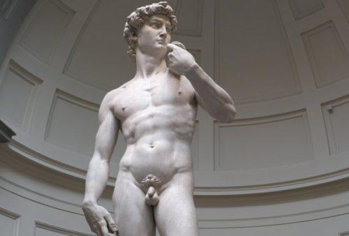 david