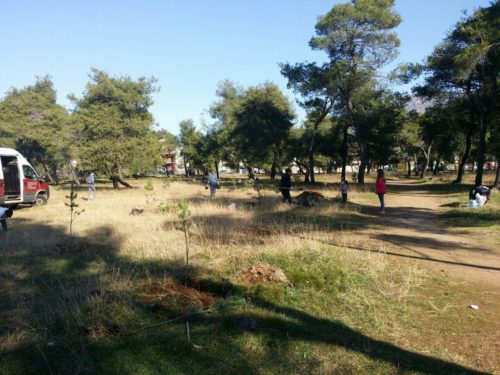 fb_img_1480797207431-copy