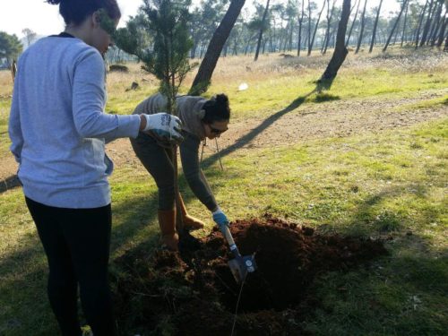 fb_img_1480797214774-copy