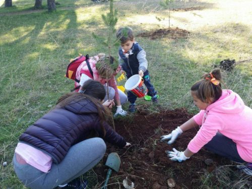 fb_img_1480797225336-copy